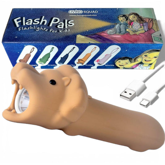 Flash Pals - Lion